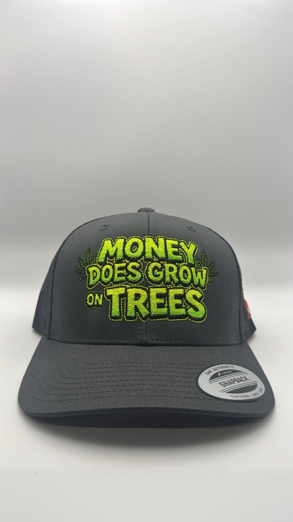 Money Does Grow On Trees Cap