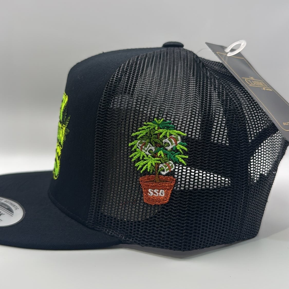 Money Does Grow On Trees Cap